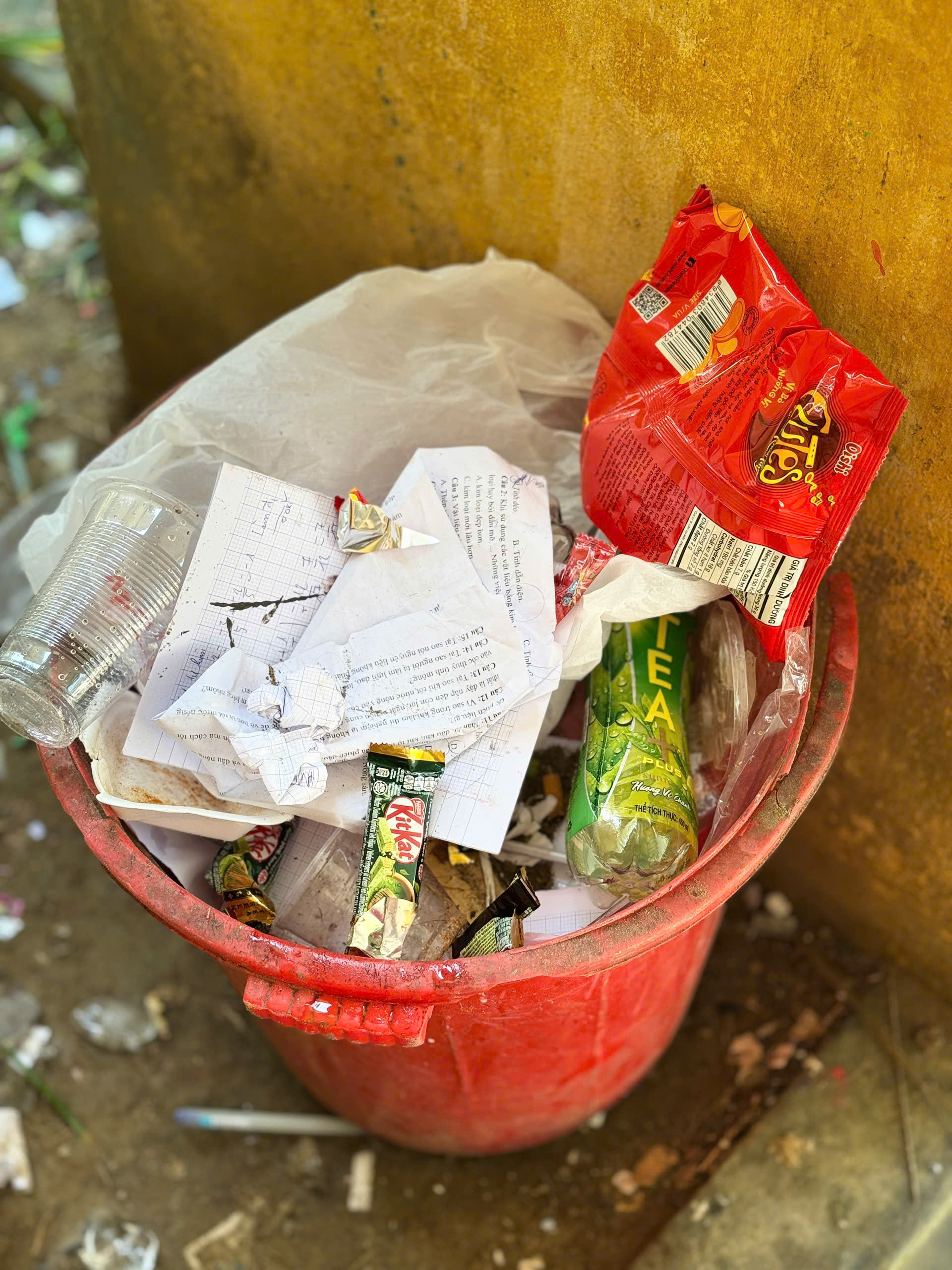 Thỏ bảo vệ môi trường